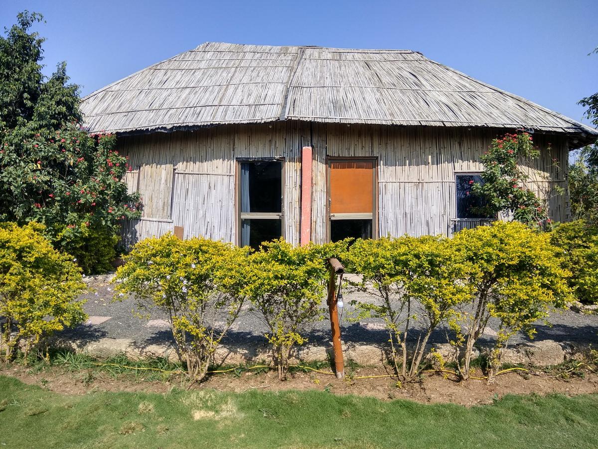 The Hillview Camp Resort Sasan Gir Buitenkant foto